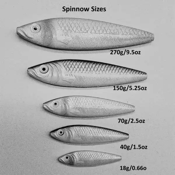 Spinnow Lure 2 Spinnow Lure - Image 2